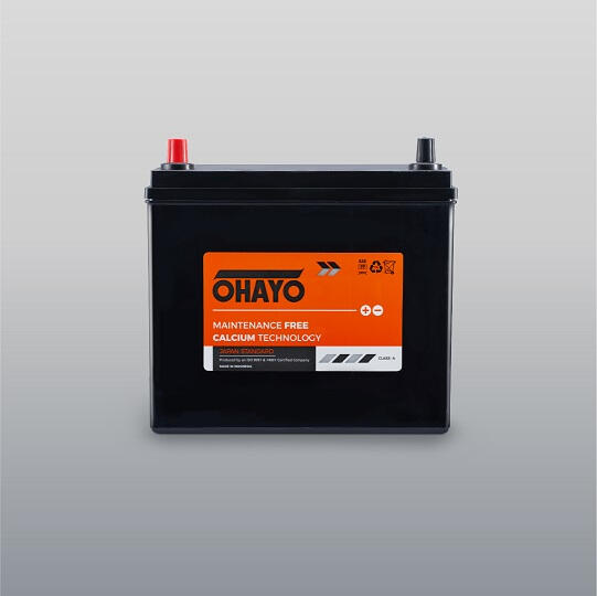 OHAYO Maintenance Free Car Battery