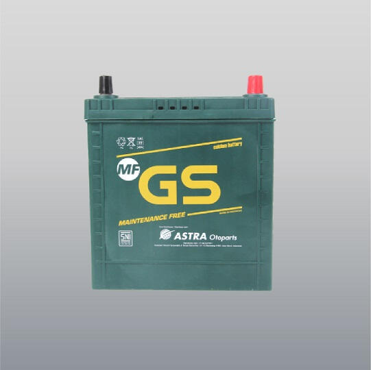 GS Shield Maintenance Free Car Battery